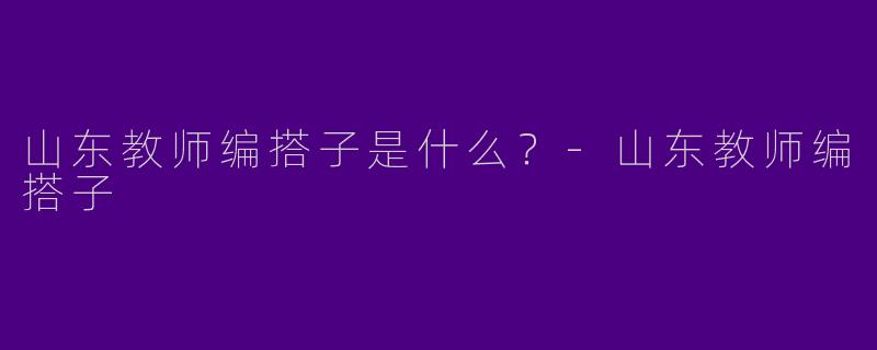 山东教师编搭子是什么?