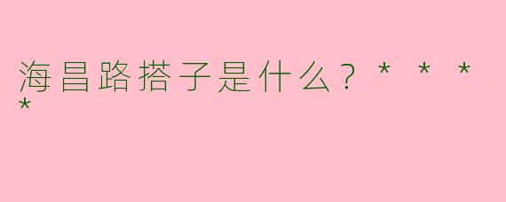 海昌路搭子是什么？****