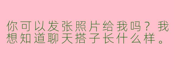 你可以发张照片给我吗？我想知道聊天搭子长什么样。