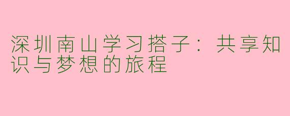 深圳南山学习搭子：共享知识与梦想的旅程