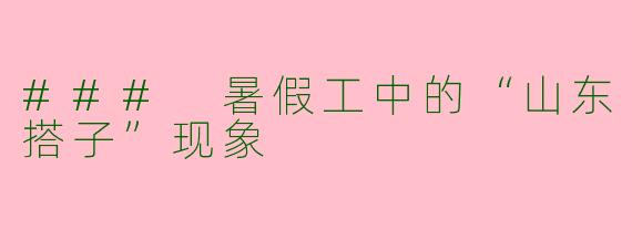 ### 暑假工中的“山东搭子”现象