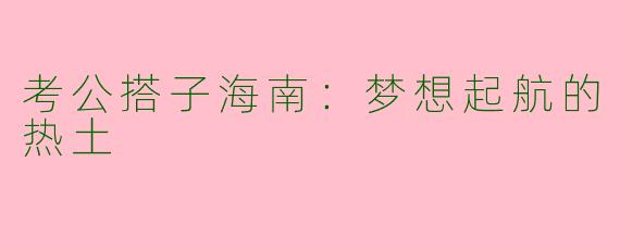 考公搭子海南：梦想起航的热土