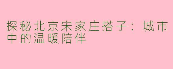 探秘北京宋家庄搭子：城市中的温暖陪伴