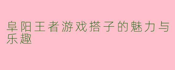 阜阳王者游戏搭子的魅力与乐趣