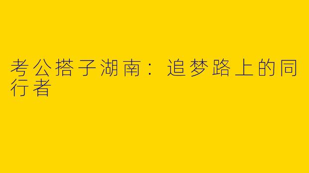 考公搭子湖南：追梦路上的同行者