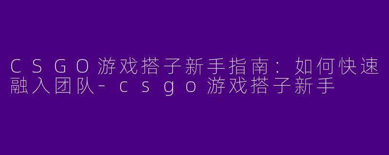 CSGO游戏搭子新手指南：如何快速融入团队-csgo游戏搭子新手