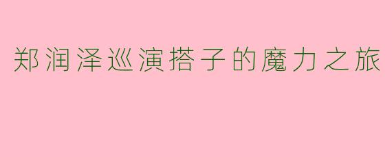 郑润泽巡演搭子的魔力之旅