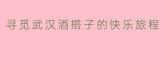寻觅武汉酒搭子的快乐旅程