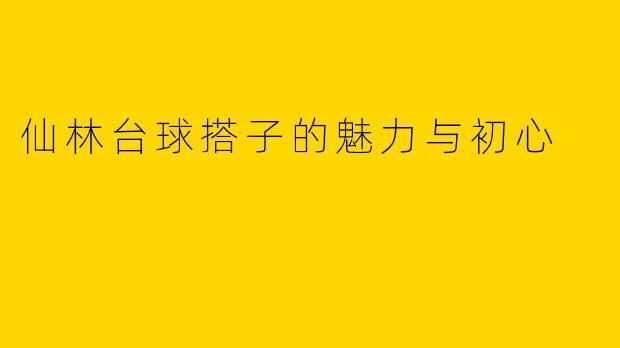 仙林台球搭子的魅力与初心