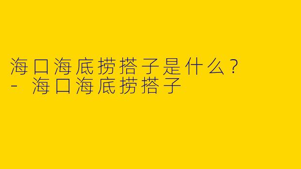 海口海底捞搭子是什么?
