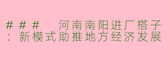 ### 河南南阳进厂搭子：新模式助推地方经济发展