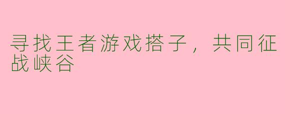 寻找王者游戏搭子，共同征战峡谷