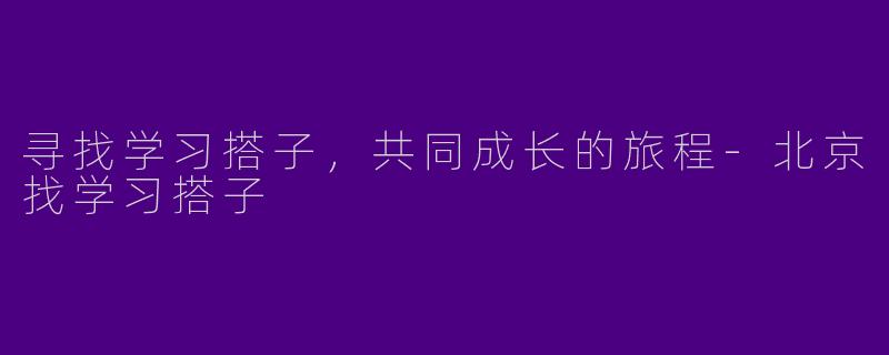 寻找学习搭子，共同成长的旅程-北京找学习搭子