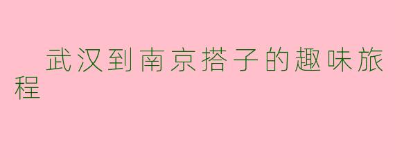  武汉到南京搭子的趣味旅程