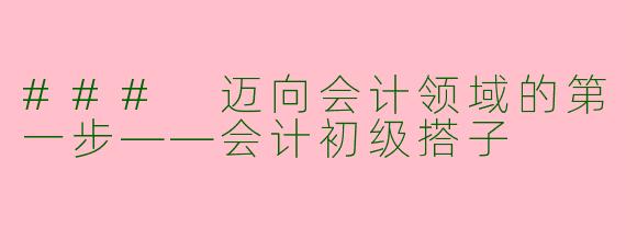 ### 迈向会计领域的第一步——会计初级搭子