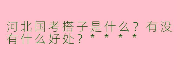 河北国考搭子是什么？有没有什么好处？****