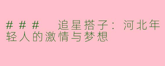 ### 追星搭子：河北年轻人的激情与梦想