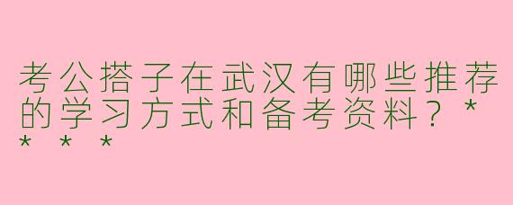 考公搭子在武汉有哪些推荐的学习方式和备考资料？****