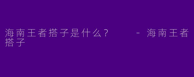 海南王者搭子是什么?