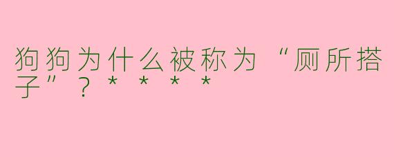 狗狗为什么被称为“厕所搭子”？****