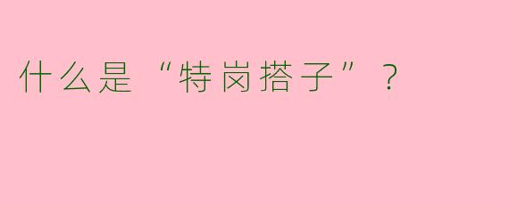 什么是“特岗搭子”？  