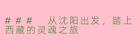 ### 从沈阳出发，踏上西藏的灵魂之旅