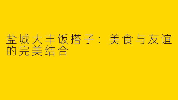 盐城大丰饭搭子：美食与友谊的完美结合