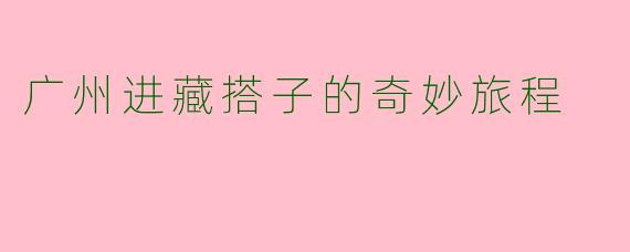 广州进藏搭子的奇妙旅程