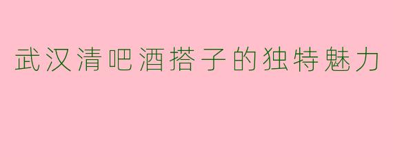 武汉清吧酒搭子的独特魅力