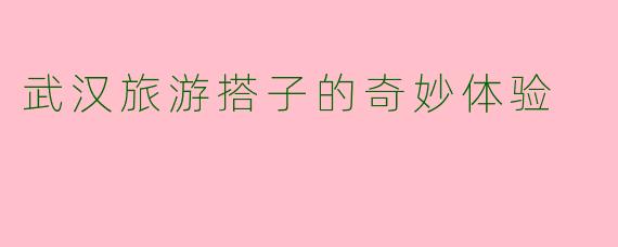 武汉旅游搭子的奇妙体验