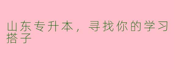 山东专升本，寻找你的学习搭子