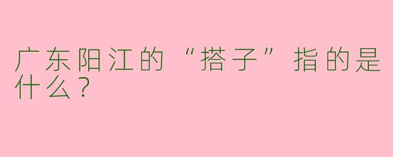 广东阳江的“搭子”指的是什么？  