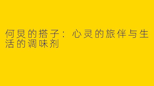 何炅的搭子：心灵的旅伴与生活的调味剂
