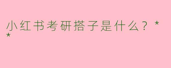 小红书考研搭子是什么？**