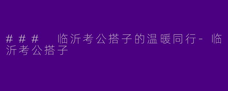 ### 临沂考公搭子的温暖同行-临沂考公搭子