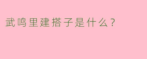 武鸣里建搭子是什么？