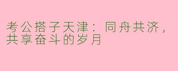 考公搭子天津：同舟共济，共享奋斗的岁月