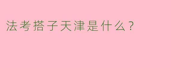 法考搭子天津是什么?