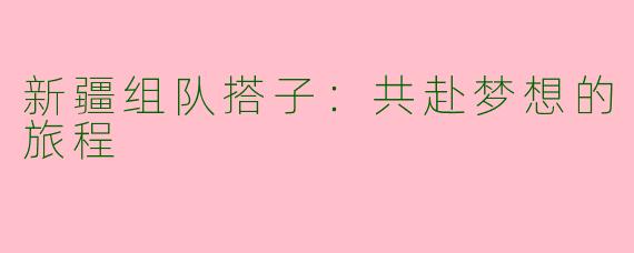 新疆组队搭子:共赴梦想的旅程