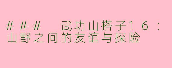 ### 武功山搭子16：山野之间的友谊与探险