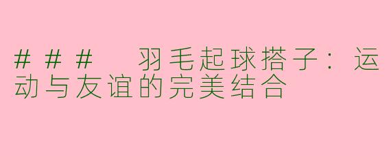 ### 羽毛起球搭子：运动与友谊的完美结合
