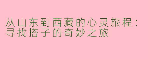 从山东到西藏的心灵旅程：寻找搭子的奇妙之旅