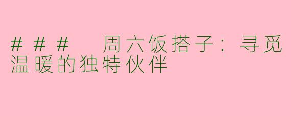 ### 周六饭搭子：寻觅温暖的独特伙伴