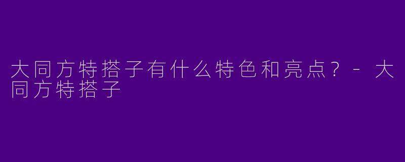大同方特搭子有什么特色和亮点？-大同方特搭子