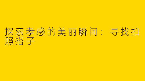 探索孝感的美丽瞬间：寻找拍照搭子
