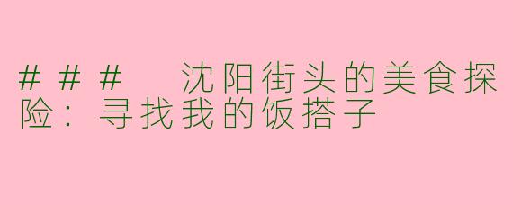 ### 沈阳街头的美食探险：寻找我的饭搭子