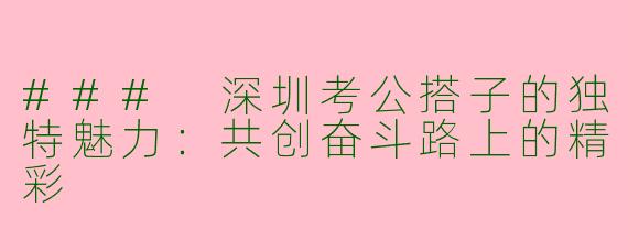 ### 深圳考公搭子的独特魅力：共创奋斗路上的精彩