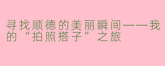 寻找顺德的美丽瞬间——我的“拍照搭子”之旅