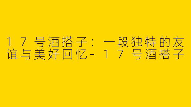 17号酒搭子：一段独特的友谊与美好回忆-17号酒搭子