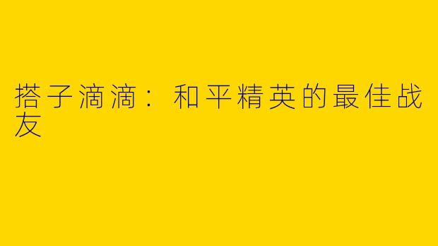 搭子滴滴：和平精英的最佳战友